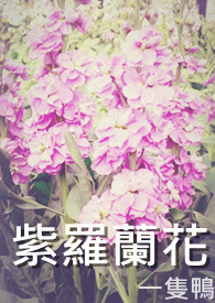 紫罗兰花花语